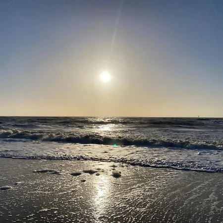 50 6 S Blinkfueer * Schillig