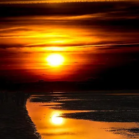 50 6 S Blinkfueer Apartment