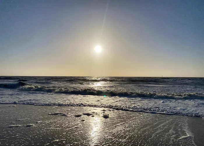 50 6 S Blinkfueer * Schillig