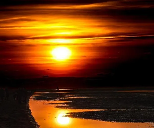 50 6 S Blinkfueer Διαμέρισμα